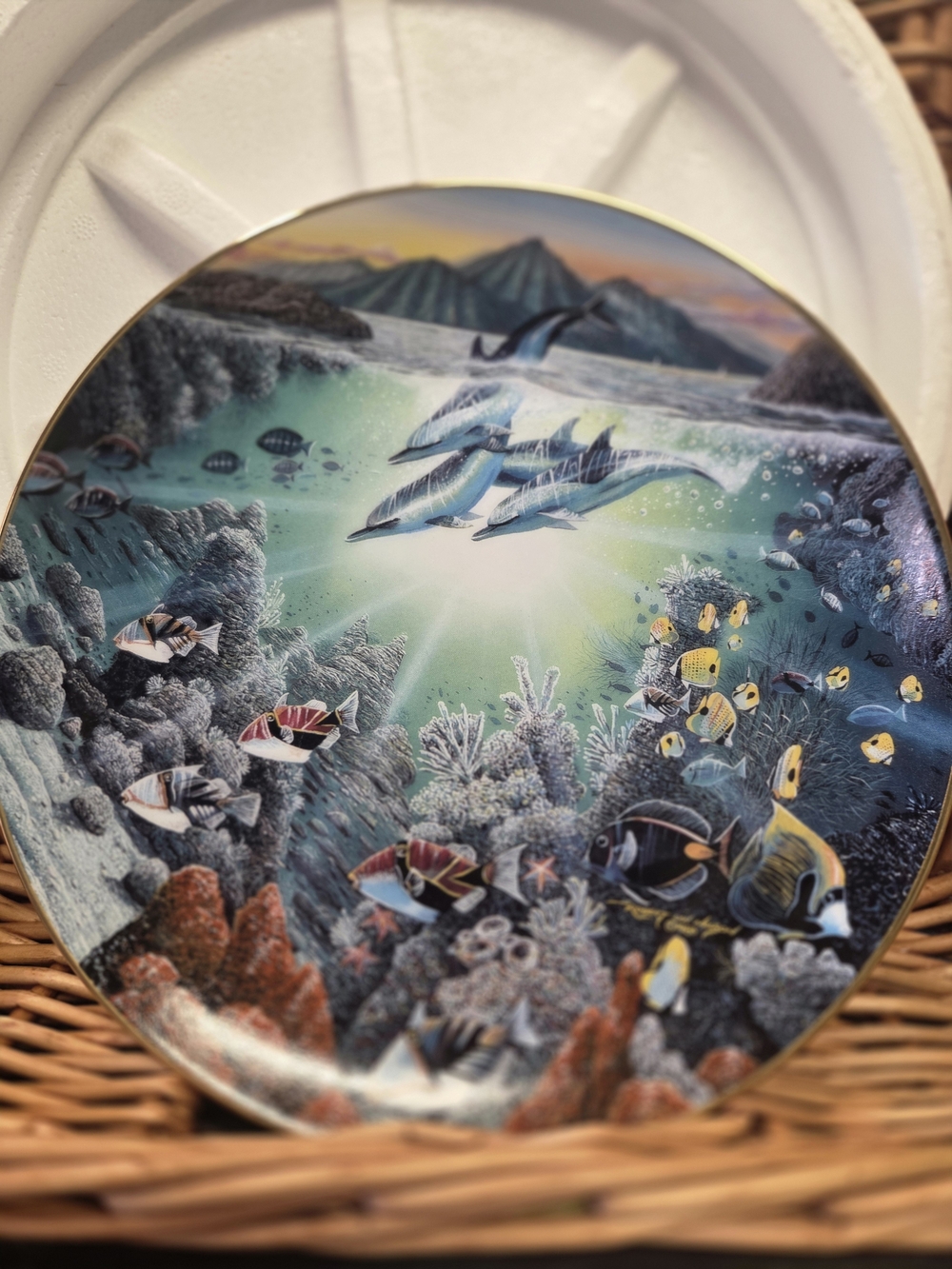 Bay Of Piilani Vintage 1991 Plate By Robert Lyn Nelson #A8359